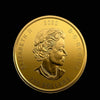 2020 Canadian Call of the Wild Bobcat 1oz gold coin reverse featuring Queen Elizabeth II portrait and 200 Dollars denomination