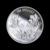 2019 Canada $100 Maple Leaf 10oz Fine Silver Collectible Coin