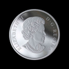 2019 Canada $100 Maple Leaf 10oz Fine Silver Collectible Coin